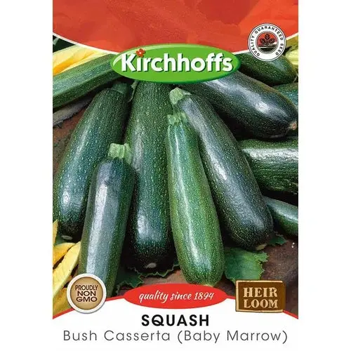 Vegetable Seed Squash's Kirchhoffs 1