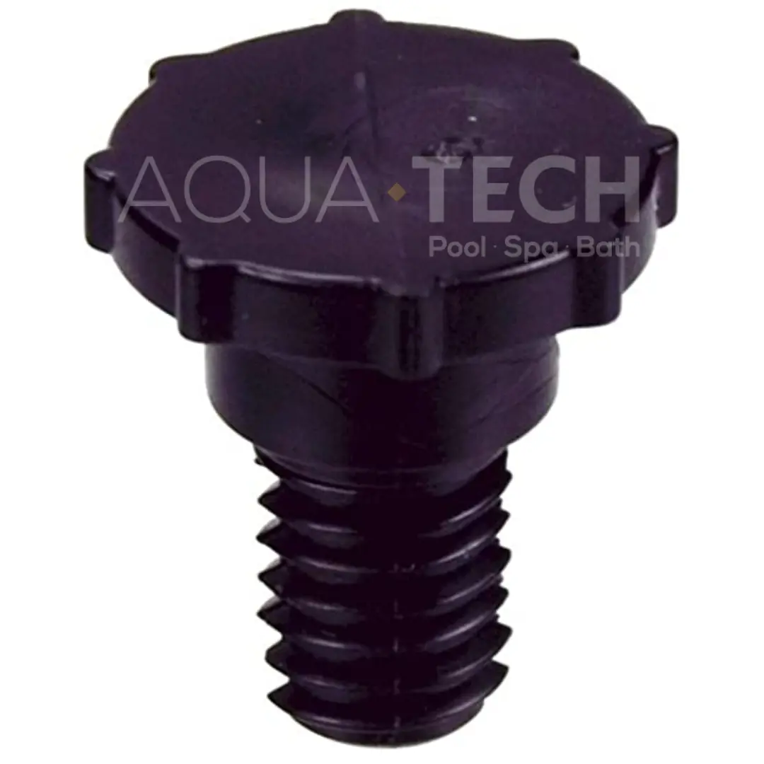 Pentair Vent Valve (P/N: R172224x) 1