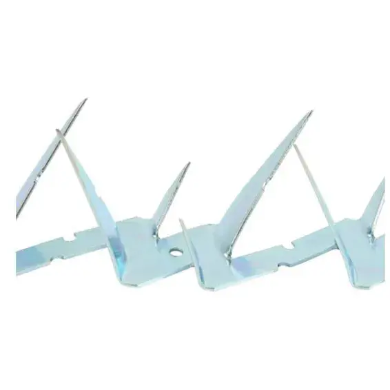 Wall Spike Barracouta 1