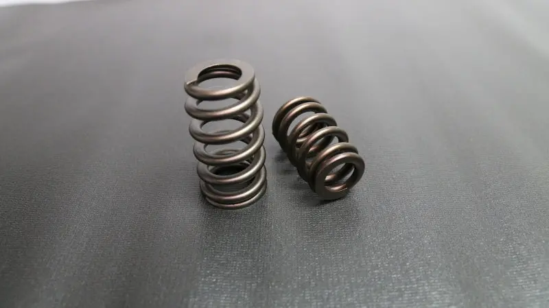 Ferrea Pac Alloy Beehive Valve Springs For Ford 4.6L 16V — 275 Lb/In Rate (Set Of 16) 1